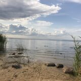 IMG_2954
